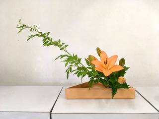 16646D05-1847-42FF-8CE4-2F93CEB221DE.jpeg
