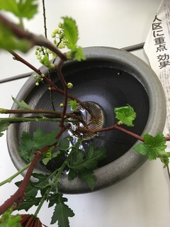 27073D2D-C83B-4A22-A4C4-C882D4F74159.jpeg