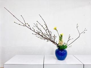 FD4B1B02-D28A-4007-89C9-E3C3109E6663.jpeg