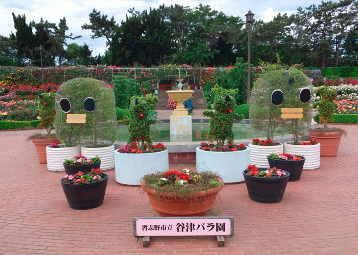 yatu01.jpg